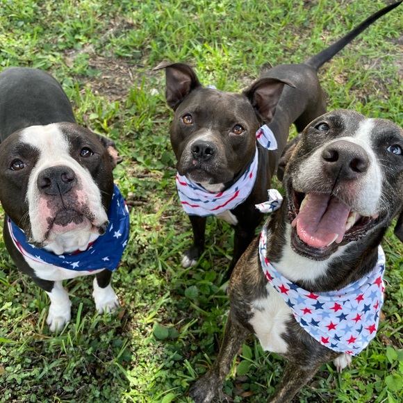 🎀 Meet Your Seller 🎀 - Picture 3 of 5